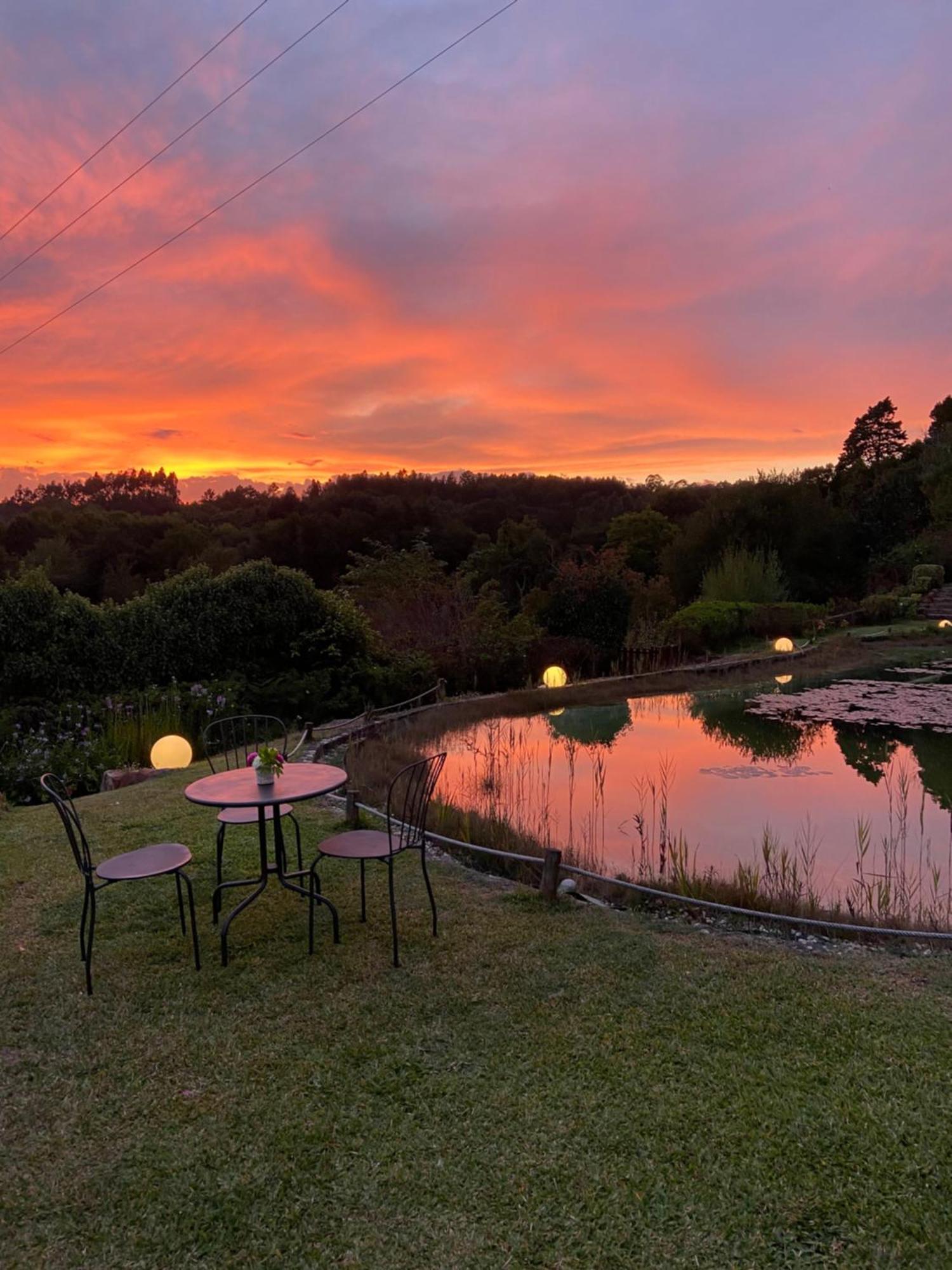 Quinta Da Fontoura Guest House Alquerubim Luaran gambar