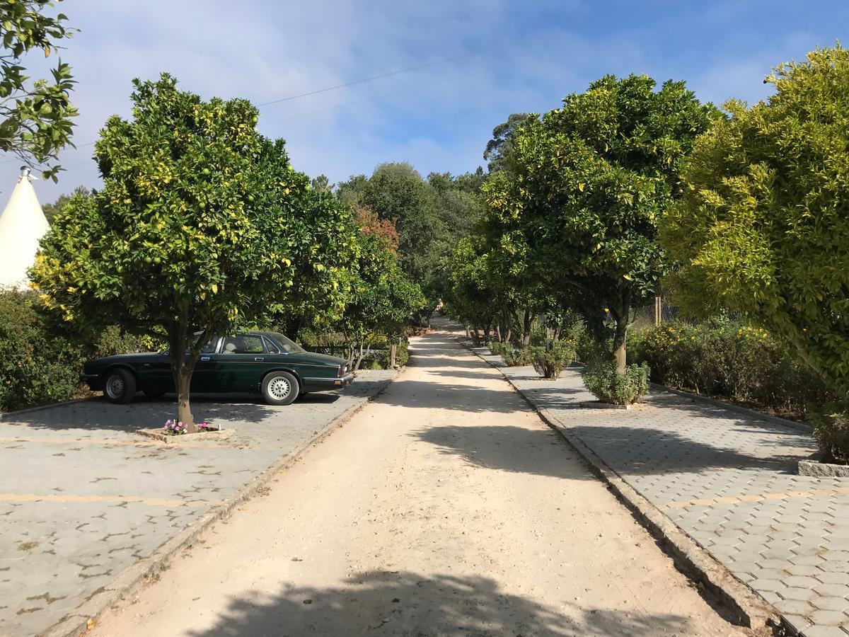 Quinta Da Fontoura Guest House Alquerubim Luaran gambar
